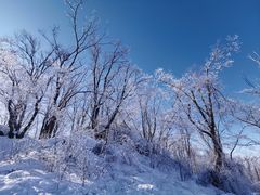 -中旅松花湖滑雪场