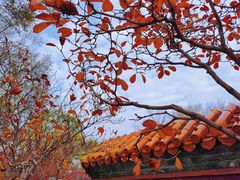 -沈阳植物园