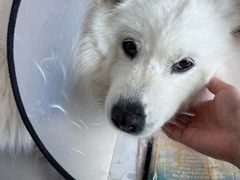 -中国体育彩票(竞彩店)