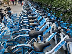 -天津水游城丽筠酒店