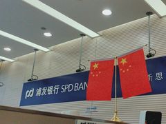 -上海浦东发展银行(南市支行)