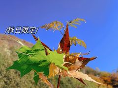 -圣莲山风景区