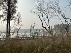 -武汉动物园