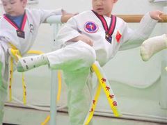 -武术世家少儿培训中心(首都体育学院店)