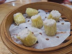 手打鱼肉烧卖-赏点粤式点心(广州塔店)