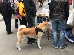 -黄埔古港