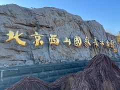 -北京西山国家森林公园