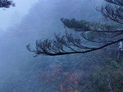 -尧山风景区