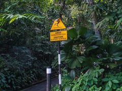 -槟城植物园
