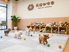 -申普宠物医院·心脏介入·心血管微创(总院)