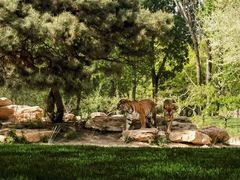 -北京野生动物园