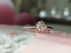 -钻石小鸟钻戒婚戒定制(石路店)