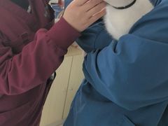 -瑞派福兴宠物医院犬猫全科·骨科·中西医结合(河东店)