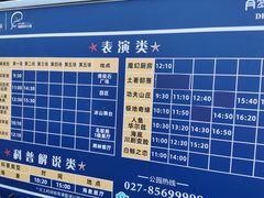 -海合安武汉极地海洋公园