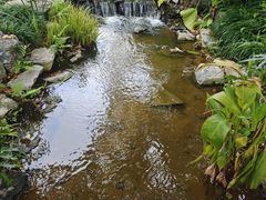 -东莞植物园