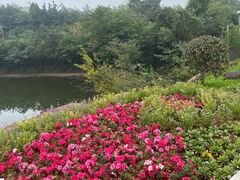 -三岔湖景区