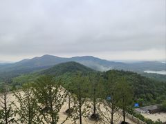 -牛首山文化旅游区