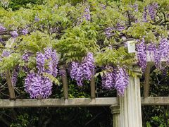 -苏州上方山国家森林公园