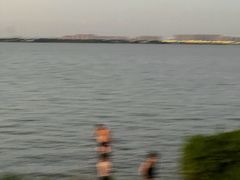 -漕湖湿地公园
