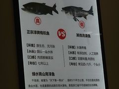 -全乐鱼馆·淳牌有机鱼直营店