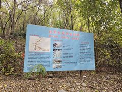 -第五季龙水凤港生态露营农场
