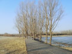 -东郊湿地公园