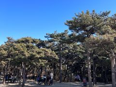 -香山公园