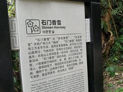-广州市石门国家森林公园