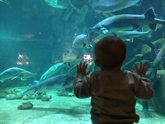 -华夏文旅海洋公园