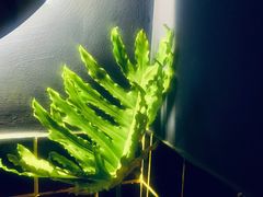 -Carpe Diem精酿空间