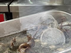 -鲜得来排骨年糕(豫园店)