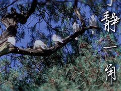-天坛公园