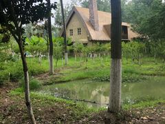 -合肥滨湖国家森林公园