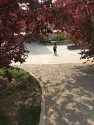 -大望京儿童游乐场