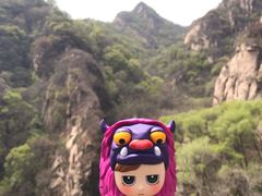 -大岭沟猕猴桃谷风景区