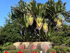 -白沙门生态公园