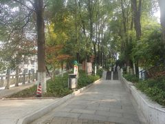 -白沙古井