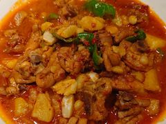 -九毛九西北菜(百信广场店)