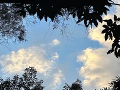 -番禺大夫山森林公园