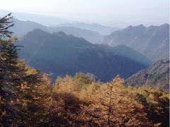 iphone_upload_pic-中影国际影城(大唐西市4K临境音店)