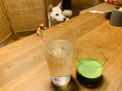 -柴务处·柴犬主题狗咖