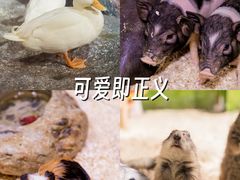 -正佳极地海洋世界