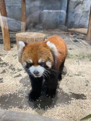 -Zoolung Zoolung动物主题公园(海信广场店)