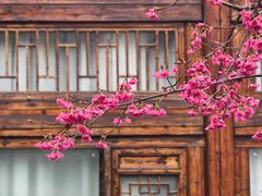 -乌山风景区