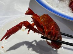 -洪福龙虾
