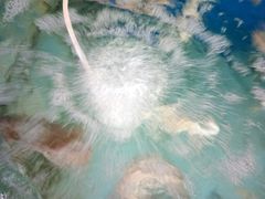 -沿海渔家院海鲜烧烤·东北菜(东戴河店)