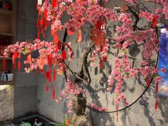-呷哺呷哺 小火锅 (浦东新欧尚超市店)