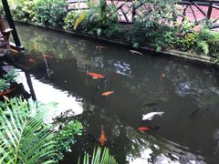 -优之名鹅城