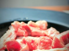 -九府羊·鲜羊火锅·烤串(新华路店)