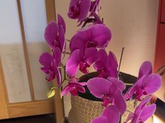 -梅间堂茶馆(绿地缤纷城店)